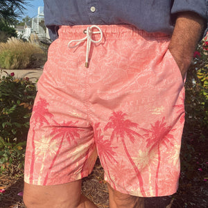 Sunburn Print Sandbar Swim Trunk - 7